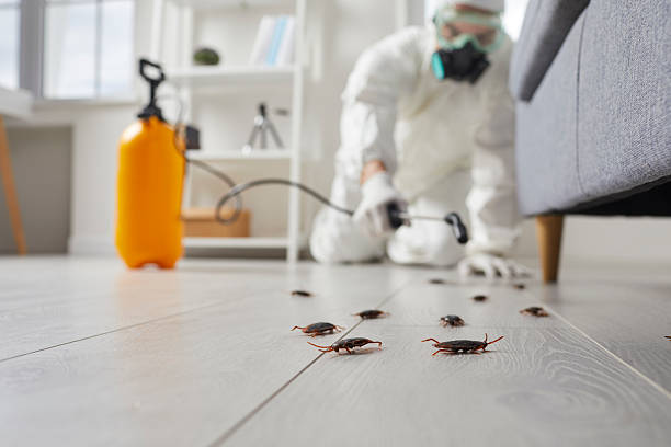 Post-Treatment Bed Bug Interceptor Monitoring in Eden