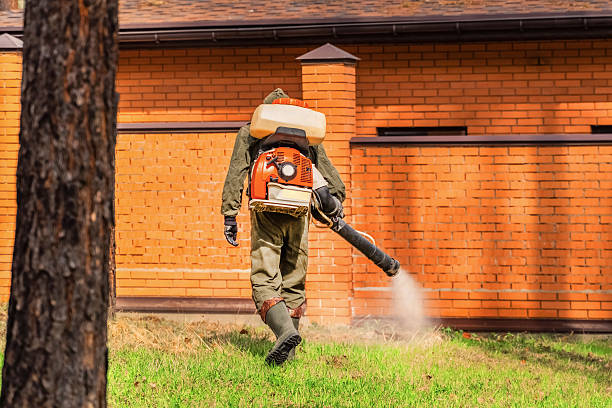 Bed Bug Clearance Verification and Documentation in Eden